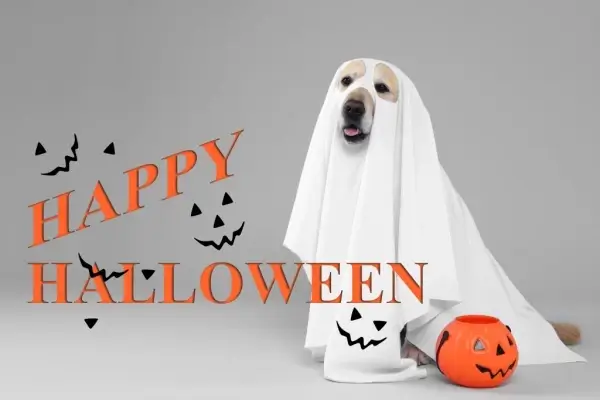 Happy Halloween from Direct Lending